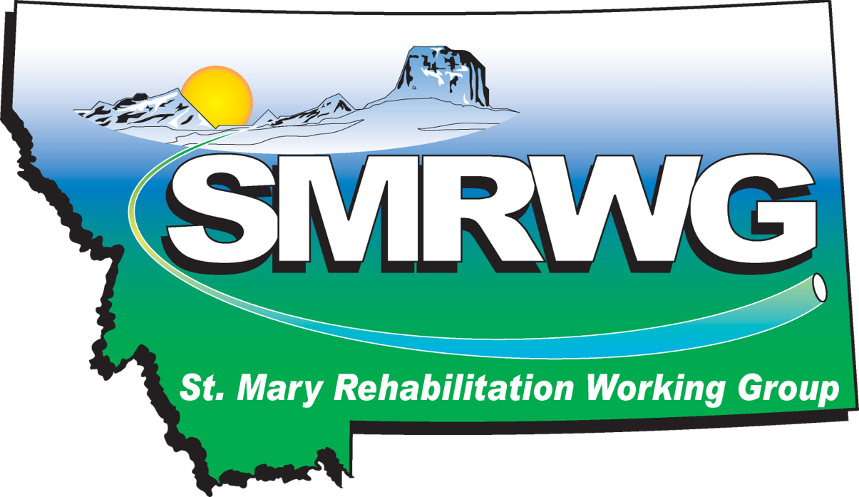 St. Mary Rehabilitation Working Group